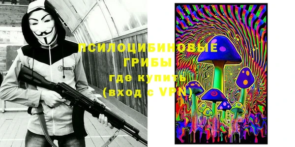 МДПВ Горно-Алтайск