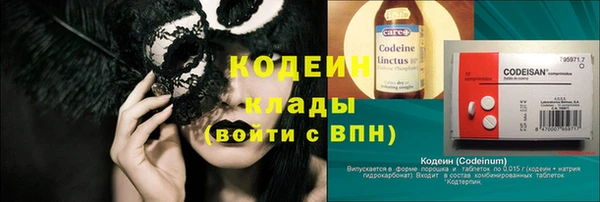 стафф Гусев