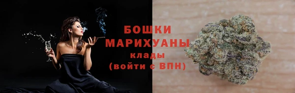 стафф Гусев