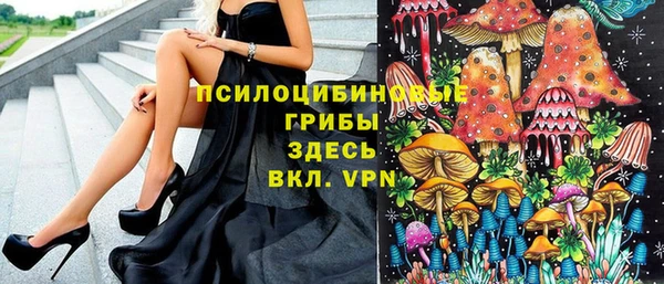 МДПВ Горно-Алтайск