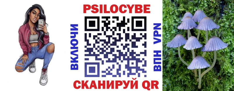купить наркоту  Меленки  Псилоцибиновые грибы Psilocybe 